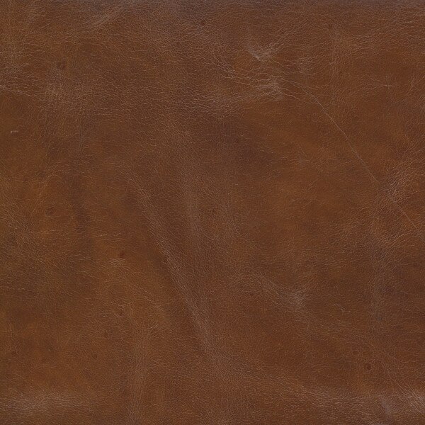 Leather Swatch (Cigar)